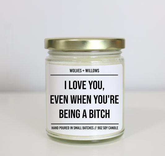 I Love You, Even When You're Being A Bitch - Valentine's, Birthday, or Anniversary Gift for Her